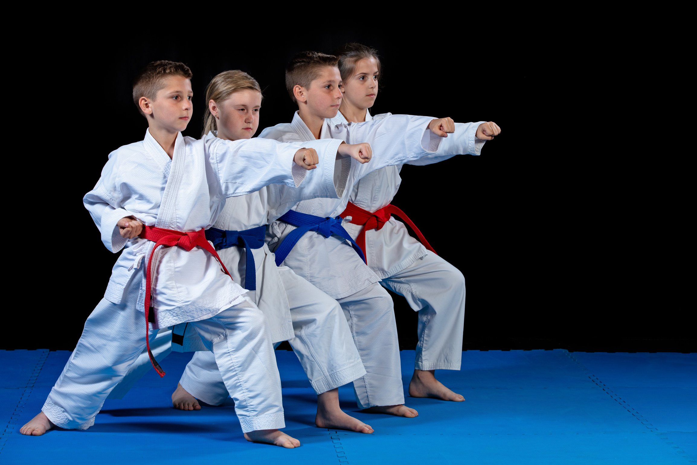 young, beautiful, successful multi ethical karate kids in karate position.